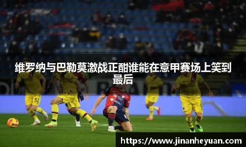 维罗纳与巴勒莫激战正酣谁能在意甲赛场上笑到最后
